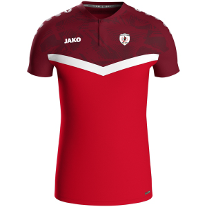 TEE SHIRT ICONIC (taille petit)